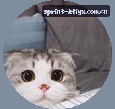 User